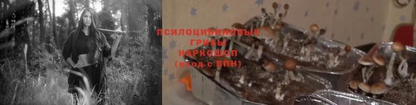 MDMA Premium VHQ Гусиноозёрск