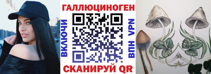 наркота  Севастополь  Псилоцибиновые грибы Psilocybe 
